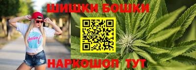 a pvp Гатчина