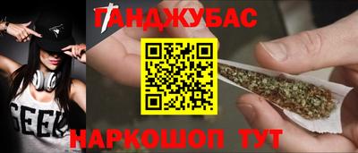 дмт Гай