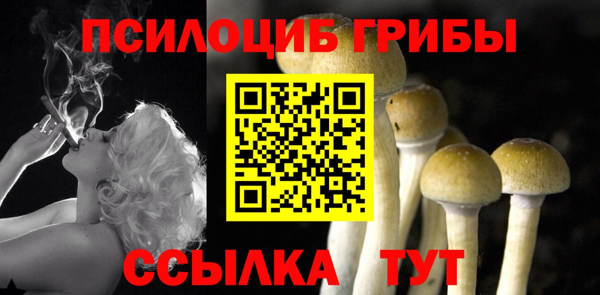 Псилоцибиновые грибы Magic Shrooms Можайск