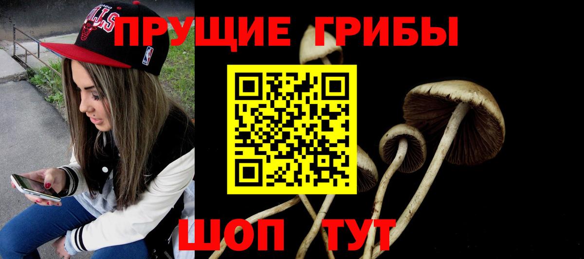 наркошоп  Псилоцибиновые грибы ЛСД  Вход с VPN  Псилоцибиновые грибы MAGIC MUSHROOMS  Можайск 
